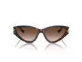 Jimmy Choo Lunettes de Soleil JC 5019 500213