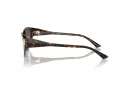 Jimmy Choo Lunettes de Soleil JC 5019 500213