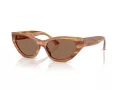 Jimmy Choo Lunettes de Soleil JC 5022B 505573