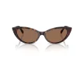 Jimmy Choo Lunettes de Soleil JC 5023H 500273