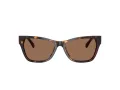 Jimmy Choo Lunettes de Soleil JC 5024HU 500273