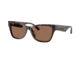 Jimmy Choo Lunettes de Soleil JC 5024HU 500273