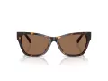 Jimmy Choo Lunettes de Soleil JC 5024HU 500273