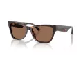 Jimmy Choo Lunettes de Soleil JC 5024HU 500273