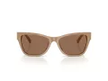 Jimmy Choo Lunettes de Soleil JC 5024HU 505873