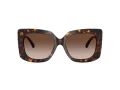 Jimmy Choo Lunettes de Soleil JC 5025H 500213