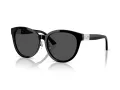 Jimmy Choo Lunettes de Soleil JC 5032D 500087