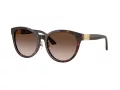 Jimmy Choo Lunettes de Soleil JC 5032D 50028G