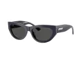 Jimmy Choo Lunettes de Soleil JC 5034BU 501687