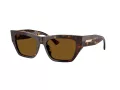 Jimmy Choo Lunettes de Soleil JC 5035B 500283