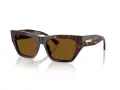 Jimmy Choo Lunettes de Soleil JC 5035B 500283