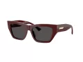 Jimmy Choo Lunettes de Soleil JC 5035B 505787