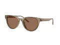 Jimmy Choo Lunettes de Soleil JC 5043D 505173