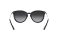 Michael Kors Brisbane Lunettes de Soleil MK 1077 1014/T3