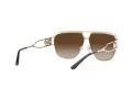 Michael Kors Vienna Lunettes de Soleil MK 1102 1014/13