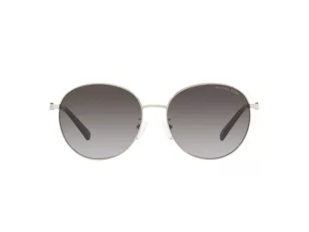 Michael Kors Alpine Lunettes de Soleil MK 1119 1014/8G