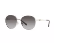 Michael Kors Alpine Lunettes de Soleil MK 1119 1014/8G