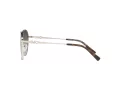Michael Kors Alpine Lunettes de Soleil MK 1119 1014/8G