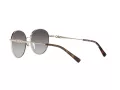 Michael Kors Alpine Lunettes de Soleil MK 1119 1014/8G