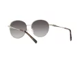 Michael Kors Alpine Lunettes de Soleil MK 1119 1014/8G