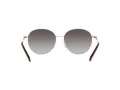 Michael Kors Alpine Lunettes de Soleil MK 1119 1014/8G