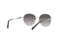 Michael Kors Alpine Lunettes de Soleil MK 1119 1014/8G