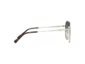Michael Kors Alpine Lunettes de Soleil MK 1119 1014/8G