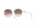 Michael Kors Alpine Lunettes de Soleil MK 1119 1108/8Z