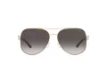 Michael Kors Chianti Lunettes de Soleil MK 1121 1014/8G