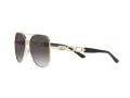 Michael Kors Chianti Lunettes de Soleil MK 1121 1014/8G