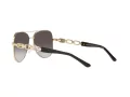 Michael Kors Chianti Lunettes de Soleil MK 1121 1014/8G