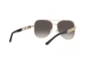 Michael Kors Chianti Lunettes de Soleil MK 1121 1014/8G