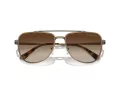 Michael Kors Whistler Lunettes de Soleil MK 1155 100113