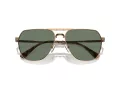 Michael Kors Keswick Lunettes de Soleil MK 1156 18993H