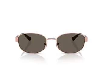 Michael Kors Monte Carlo Lunettes de Soleil MK 1161 1108/3
