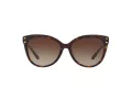 Michael Kors Jan Lunettes de Soleil MK 2045 3006/13