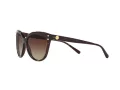 Michael Kors Jan Lunettes de Soleil MK 2045 3006/13