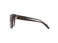 Michael Kors Jan Lunettes de Soleil MK 2045 3006/13