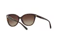 Michael Kors Jan Lunettes de Soleil MK 2045 3006/13