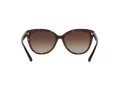 Michael Kors Jan Lunettes de Soleil MK 2045 3006/13