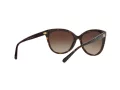 Michael Kors Jan Lunettes de Soleil MK 2045 3006/13