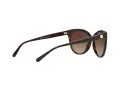 Michael Kors Jan Lunettes de Soleil MK 2045 3006/13