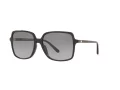 Michael Kors Isle Of Palms Lunettes de Soleil MK 2098U 3005/11