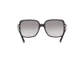 Michael Kors Isle Of Palms Lunettes de Soleil MK 2098U 3005/11
