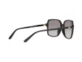 Michael Kors Isle Of Palms Lunettes de Soleil MK 2098U 3005/11