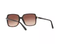 Michael Kors Isle Of Palms Lunettes de Soleil MK 2098U 3781/13