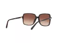 Michael Kors Isle Of Palms Lunettes de Soleil MK 2098U 3781/13