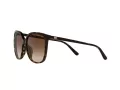 Michael Kors Anaheim Lunettes de Soleil MK 2137U 3006/13