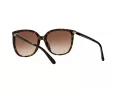 Michael Kors Anaheim Lunettes de Soleil MK 2137U 3006/13