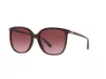 Michael Kors Anaheim Lunettes de Soleil MK 2137U 3344/8H